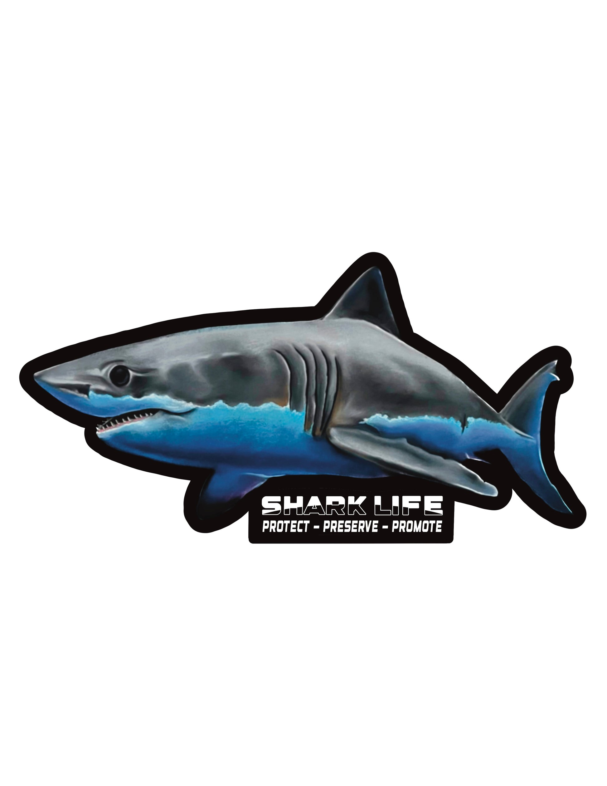 Die Cut Shark Sticker