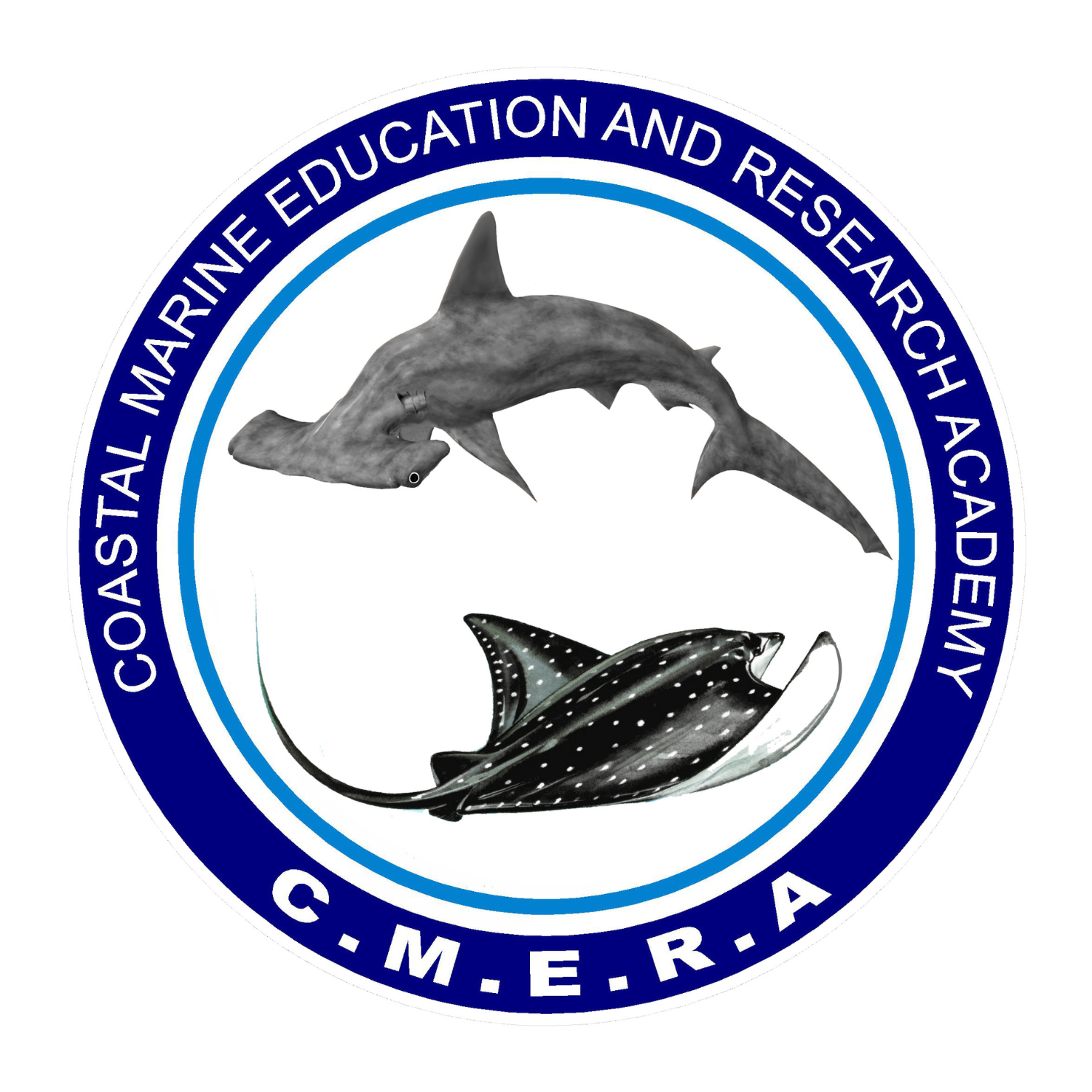 Shark Research Internship