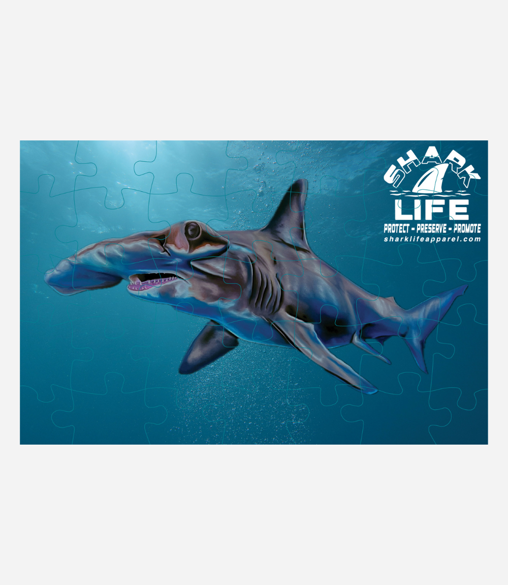 35 piece full color puzzle Hammerherad Shark Life 11 x 17