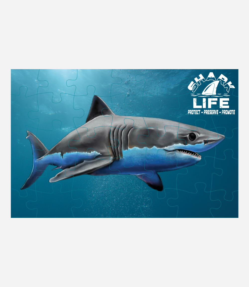 35 piece full color puzzle Great White Shark Life 11 x 17